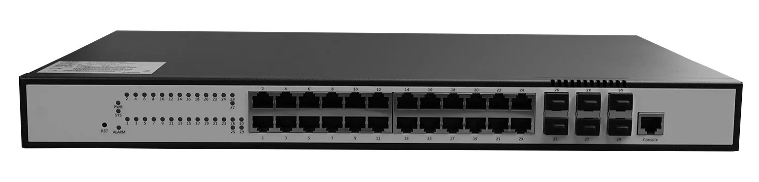 multi ports network switch